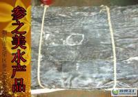 長島特產優質海帶批發 無根寬葉，粗加工水產品供應