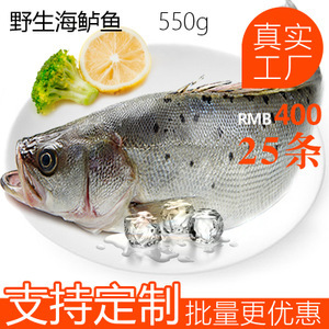 冷凍鱸魚市場分析 價格、圖片、批發采購及供應商渠道