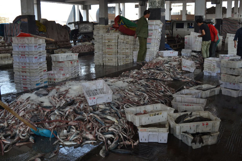 松門(mén)水產(chǎn)批發(fā)市場(chǎng) 邊買邊拍，探訪鮮活水產(chǎn)品批發(fā)新體驗(yàn)