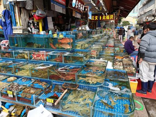 新春佳節(jié)供應(yīng)穩(wěn) 南粵大地消費旺——廣東全力保障春節(jié)期間重要民生商品供應(yīng)